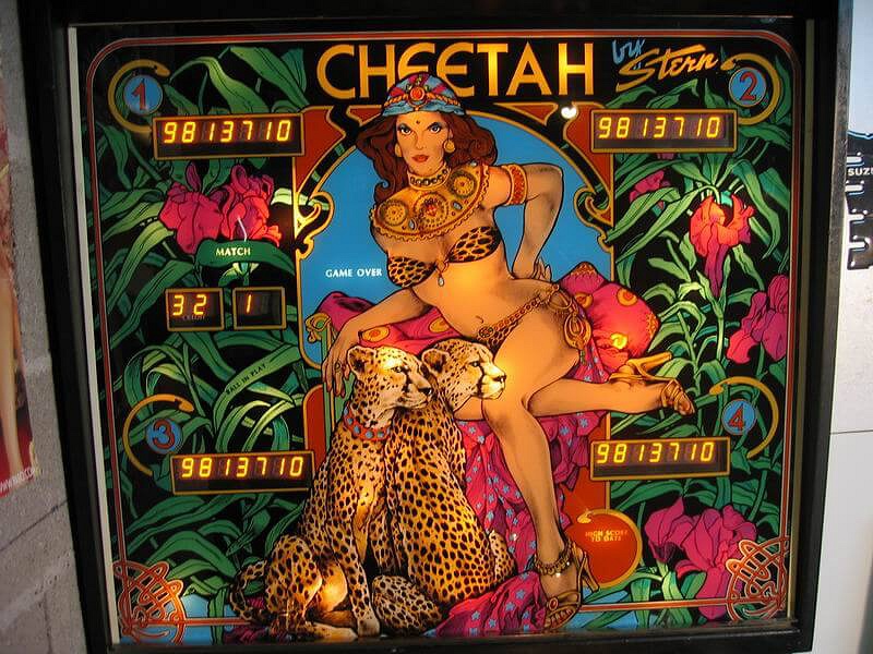 Cheetah - Image 1