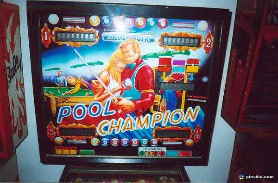 Pool Champion - Image 1
